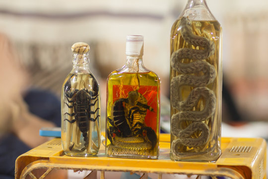 animals in alcohol