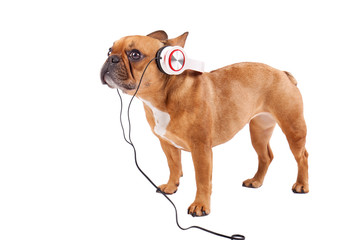 i love music