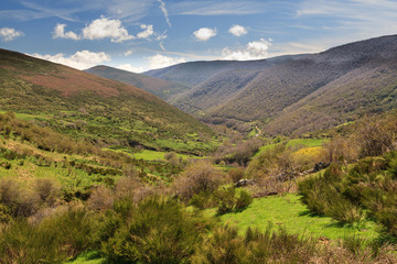 Fototapeta premium Paisaje del Valle de Montrondo. Sierra de Gistredo, León.