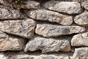 Alte Gemäuer - Grobe Sandsteinmauer mit Ranken und groben Fugen