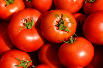Tomatoes
