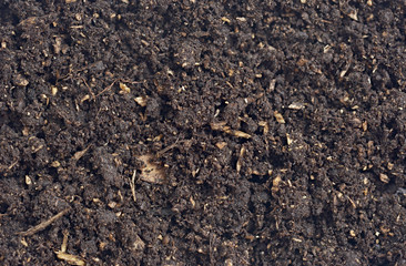 soil background