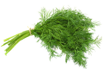 Fresh dill isolated on white