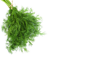 Fresh dill isolated on white
