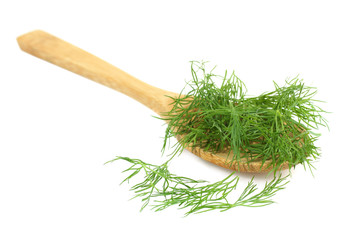 Wooden spoon with dill, shred for soupe. Isolated 