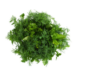fresh parsley and dill isolated on white