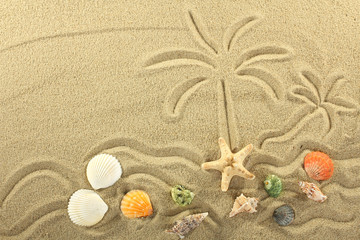 island in the ocean and palm trees painted on the sand 