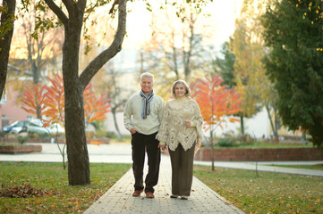 Fototapeta premium Senior couple in autumn park