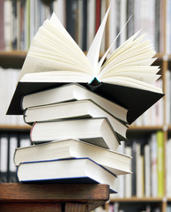Fototapeta premium Buch