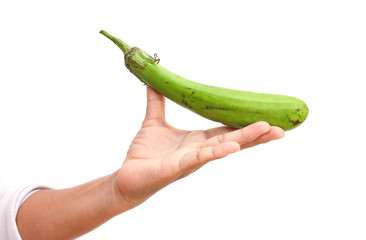 eggplant