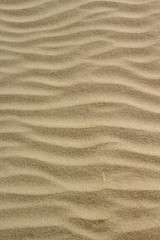 Nordsee Sandstrand Wellen Detail