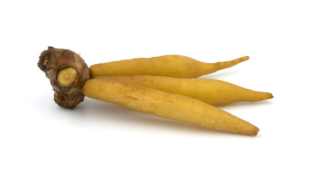 Fingerroot, Kaempfer, Boesenbergia on white background