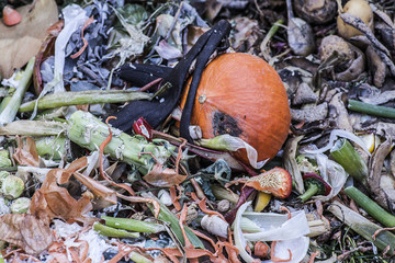 compost heap with several rotting vegetables and fruits