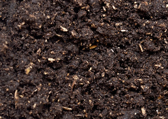 soil background