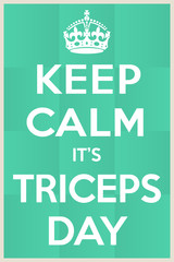 Triceps day