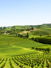 Summer landscape in Langhe (Italy) © Claudio Colombo