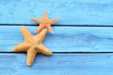 Two starfish on a blue wooden background