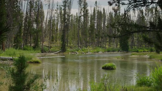Slow motion wide shot of lake in forest / Redfish Lake, Idaho, United States