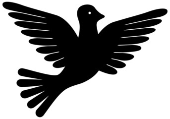 Friedenstaube, schwarz-weiß, Vektor, freigestellt