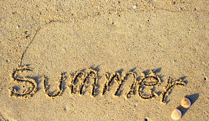 Summer background