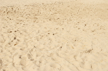sand background