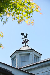 木造住宅と風見鶏