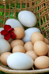 Vintage easter eggs and white eggs