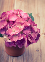 A pink hydrangea flower in a ceramic pot on a vintage retro back