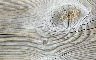 Texture di legno con nodi