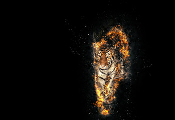 Burning tiger over black background