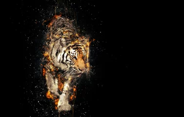 Washable wall murals Tiger Burning tiger over black background