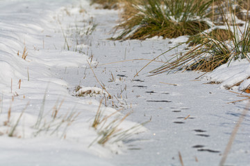 frozen small river in winter covered with snow and some footprin