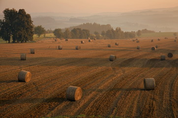 Straw bales
