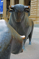 Bulle und Bär