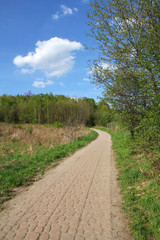 Fototapeta na wymiar winding path in meadow