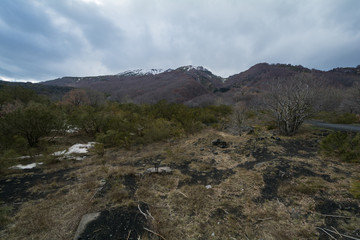 National Park at Etna in Sicily