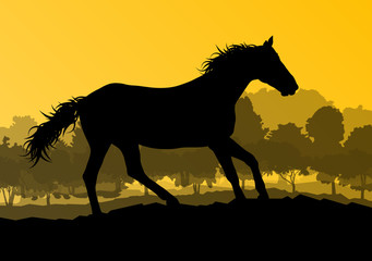 Fototapeta na wymiar Wild horse in nature vector background landscape freedom concept