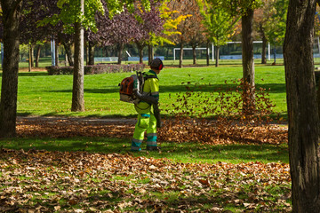 Obrero Limpiando las Hojas de Otoño en un Parque