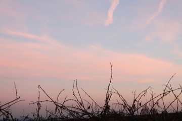 Naklejka premium Der langsame Sonnenuntergang