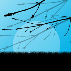 Tree branch with buds spring vector background landscape