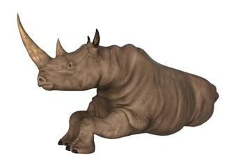 Naklejka premium Rhinoceros