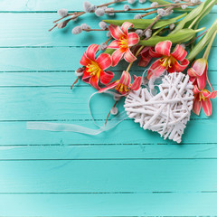 Background with fresh tulips and decorative heart
