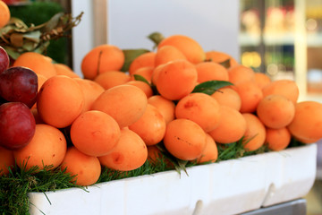 Marian plum fruit - asia fruit