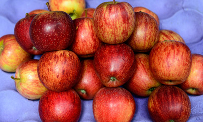 apples