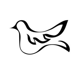 Vector of line drawing of a bird on white background