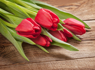 Spring tulip on the oldboard