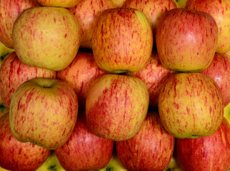 apples