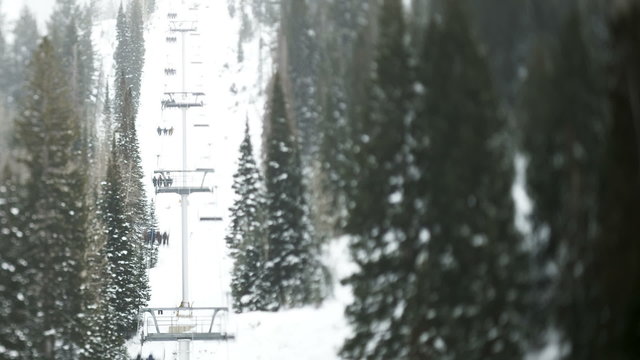WS T/L HA Ski lift between forest/ Little Cottonwood Canyon, Utah, USA