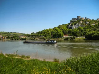 Foto op Canvas Ruins of an ancient castle on the river shore, Les Andeles, Fran © siete_vidas1