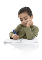 Young Schoolboy Studying Hard